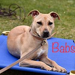 Thumbnail photo of Babs #2