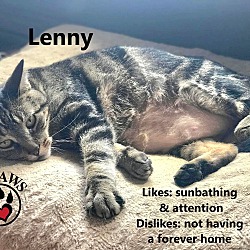 Thumbnail photo of Lenny #4