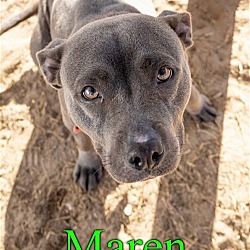 Thumbnail photo of Maren #1