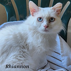 Photo of Rhiannon