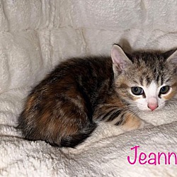 Photo of Jeanne