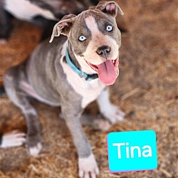 Photo of Tina