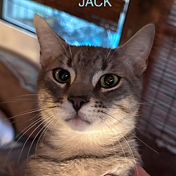 Thumbnail photo of Jack #1