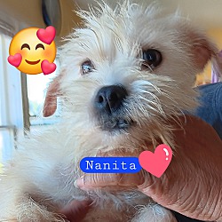 Photo of Nanita