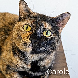 Photo of Carole
