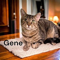 Thumbnail photo of Gene #4