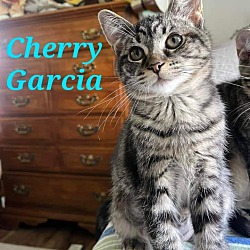 Photo of Cherry Garcia