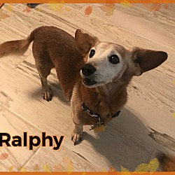 Photo of Ralphy