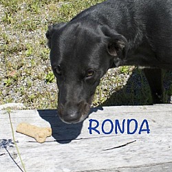 Photo of Ronda