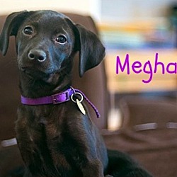 Photo of Meghan