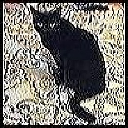 Photo of Pixie