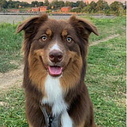 Photo of Kumi