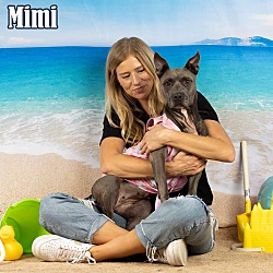 Thumbnail photo of MIMI - In Foster #4