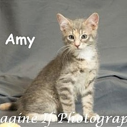 Photo of Amy