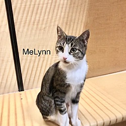 Thumbnail photo of MeLynn #2