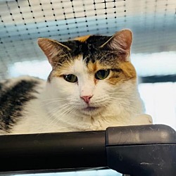Thumbnail photo of Karma #2