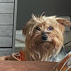 Photo of Brynn