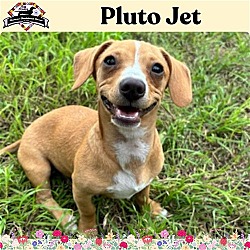 Photo of Pluto Jet