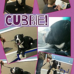 Thumbnail photo of Cubbie #4