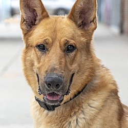 Photo of Kobe von Kotzen