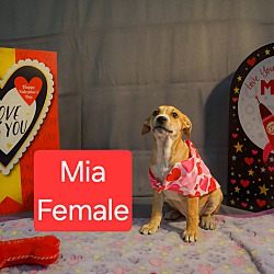 Thumbnail photo of Mia #2