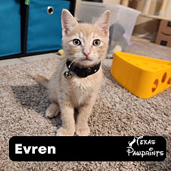 Photo of Evern