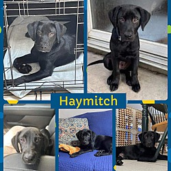 Thumbnail photo of Haymitch #1