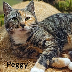 Photo of Peggy