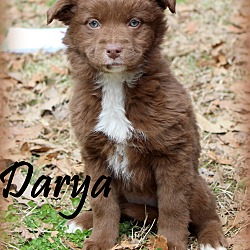 Thumbnail photo of Darya~adopted! #4