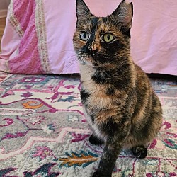 Photo of Peggy