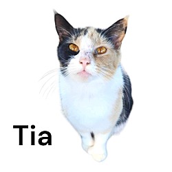 Photo of Tia