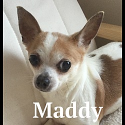 Thumbnail photo of Maddy #1