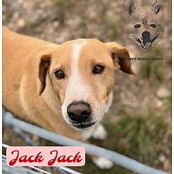 Photo of Jack