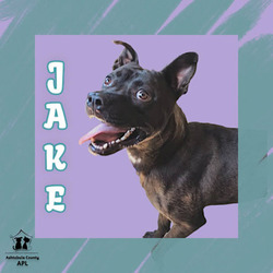 Thumbnail photo of Jake #1