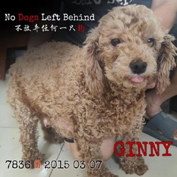 Thumbnail photo of Ginny 7836 #3