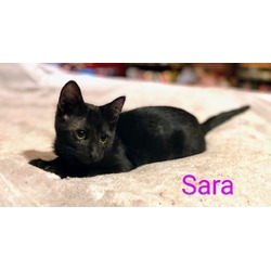 Thumbnail photo of Sara #2