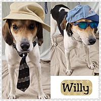Photo of WILLY