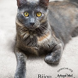 Thumbnail photo of Bijou #1