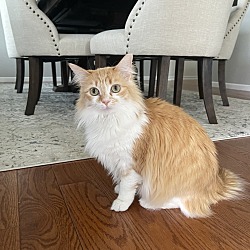 Photo of Elaina