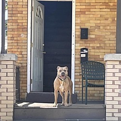 Photo of Rex 