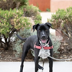Photo of Stoney