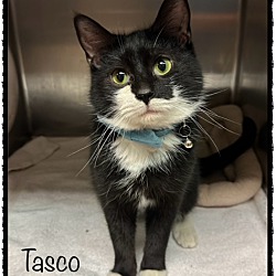 Photo of TASCO (see also Foster)