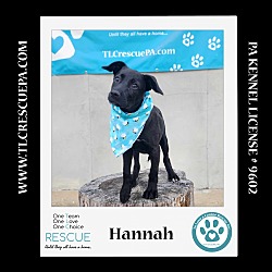 Photo of Hannah (Summer Loves) 062924