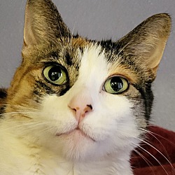 Photo of Paloma