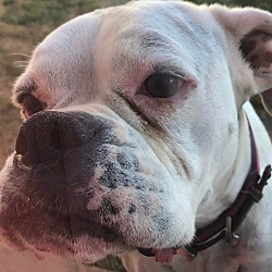 Photo of Fiona
