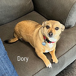 Thumbnail photo of Dory #1
