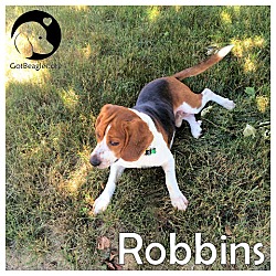 Photo of Robbins