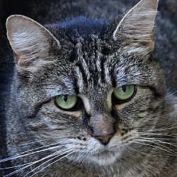 Photo of Xena