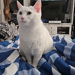 Photo of Kitaka