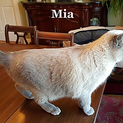 Thumbnail photo of Mia #4